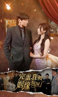 完蛋我被姻缘包围了（86集）无需会员轻松看