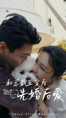 和总裁互穿后先婚后爱（60集）短剧抢先看