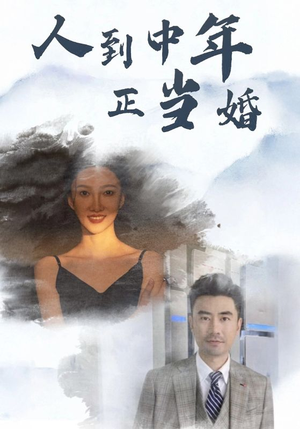 人到中年正当婚（81集）精彩片段