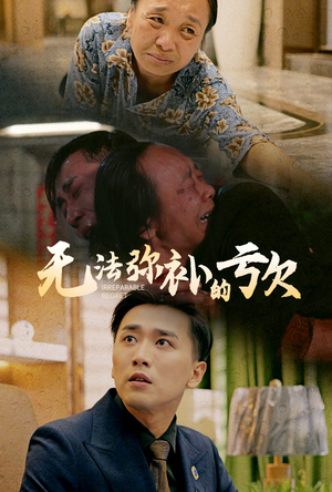 无法弥补的亏欠（59集）短剧太精彩