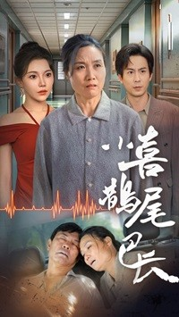 小喜鹊尾巴长（53集）最新火爆短剧