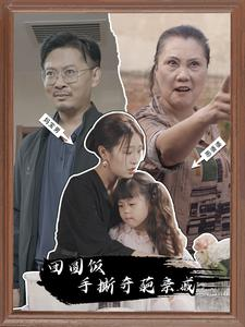 团圆饭手撕奇葩亲戚（40集）全网独播免费看