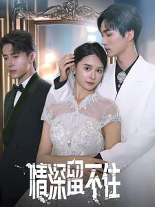 情深留不住（80集）完整版免费观看