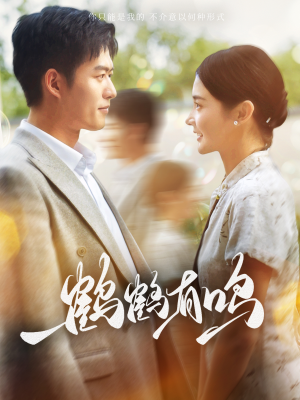 鹤鹤有鸣（87集）短剧后续更精彩