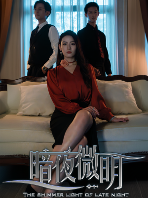 暗夜微明（70集）第二季