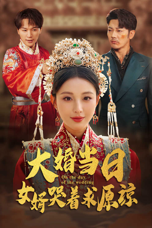 大婚当日，女婿哭着求原谅（31集）红果免费短剧