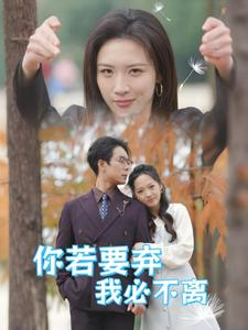 你若要弃我必不离（30集）短剧热播中