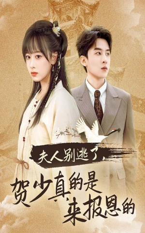 夫人别逃了贺少真的是来报恩的（63集）全集免费观看