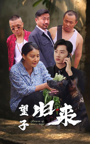 望子归来（50集）这部短剧太好看
