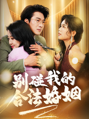 别碰我的合法婚姻（30集）口碑爆棚免费看