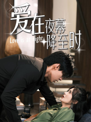 爱在夜幕降至时（73集）在线看免费版