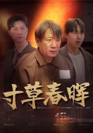 寸草春晖（31集）精彩热门短剧