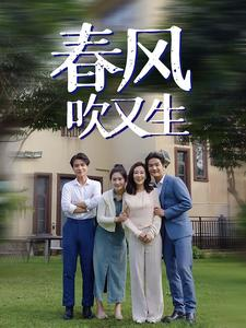 春风吹又生（56集）热门短剧抢先看