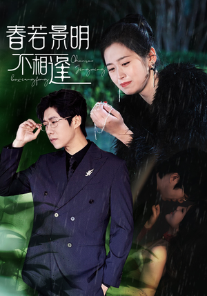 春若景明不相逢（50集）最新上映免费看