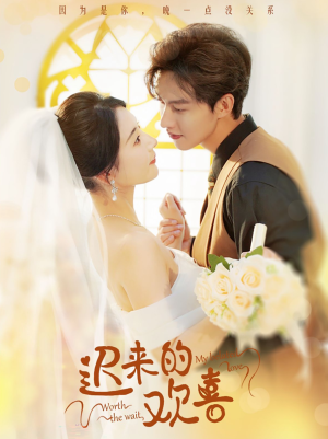 迟来的欢喜（81集）免费观看就是爽