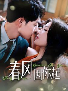 春风因你起（95集）番茄短剧看全集