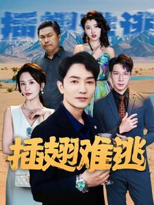 插翅难逃（43集）好看短剧抢先看