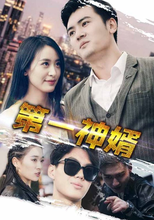 第一神婿（110集）好看短剧推荐