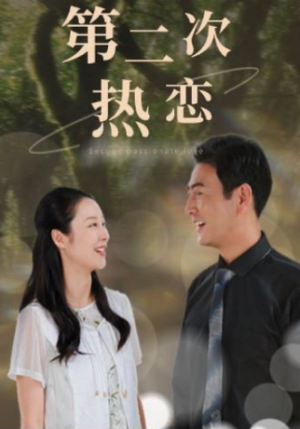 第二次热恋（48集）一起追生活短剧