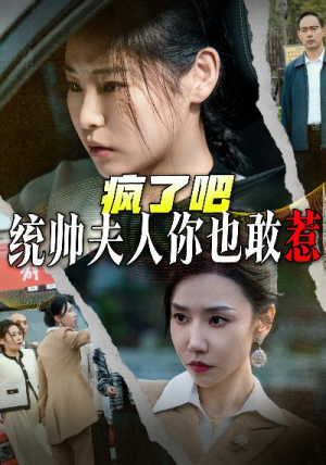 疯了吧统帅夫人你也敢惹（33集）全网独播免费看