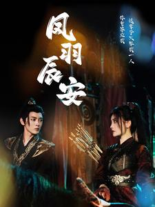 凤羽辰安（100集）免费短剧合集