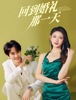 回到婚礼那一天（88集）高分佳作免费看