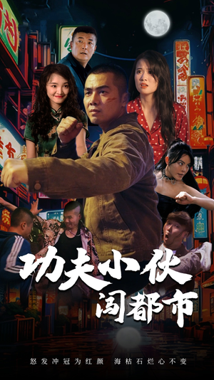 功夫小伙闯都市（51集）免费看全集