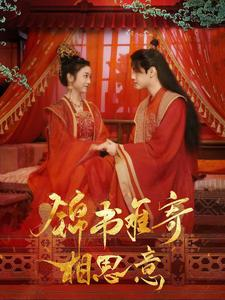 锦书难寄相思意（97集）排行榜前十短剧