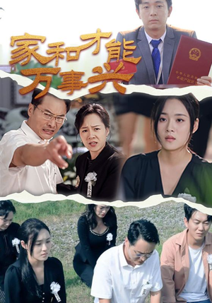 家和才能万事兴（30集）短剧太上头了