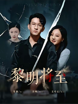 黎明将至（61集）常回家看看短剧