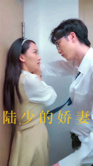 陆少的娇妻（100集）最新热门短剧