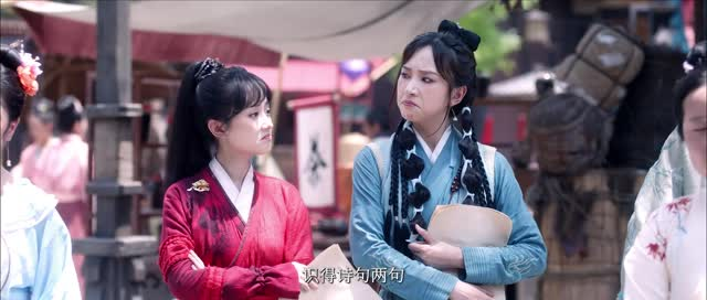 了不起的女侠（24集）热门短剧抢先