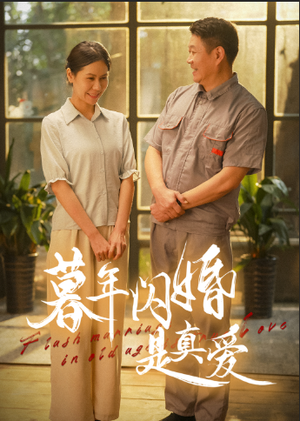 暮年闪婚是真爱（36集）一口气看完