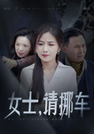 善门难开（29集）剧好看短剧推荐
