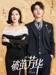 破茧芳华（80集）这部短剧我爱了