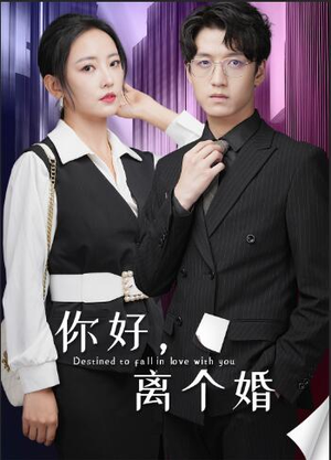 你好，离个婚（30集）一口气追完全集