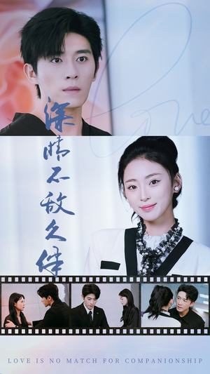 深情不敌久伴（50集）免费短剧资源