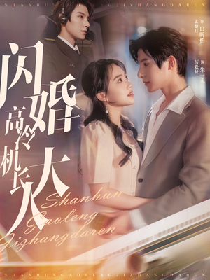 机长先生，听我指挥（92集）免费短剧完整版