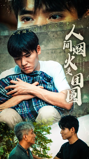 人间烟火是团圆（88集）免费在线看