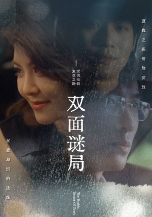 双面谜局（44集）热门短剧大全