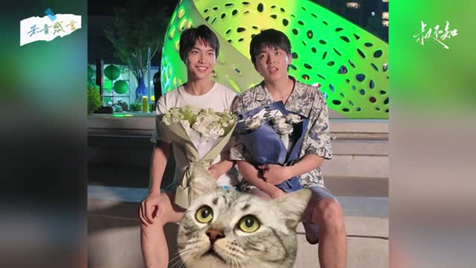 叔不知（12集）高质量短剧推荐