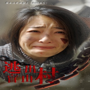 逃出盲山村（48集）全集完整版