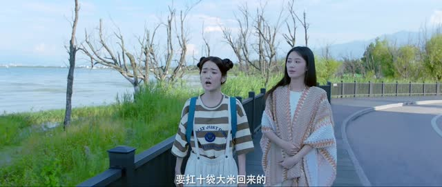 向北的遗憾（20集）最近很火的短剧