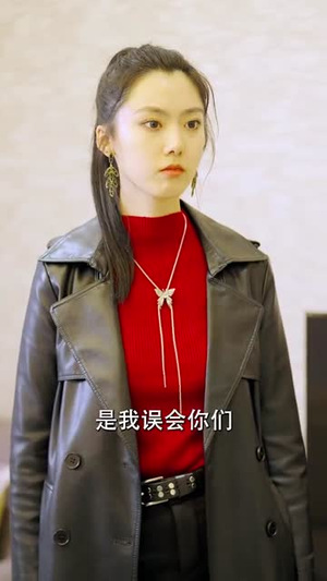 杏林逸韵（100集）演的怎么样