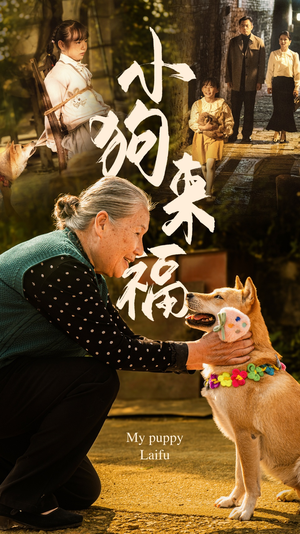 小狗来福（30集）好看的短剧