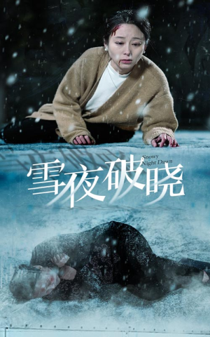 雪夜破晓（36集）西瓜短剧免费看