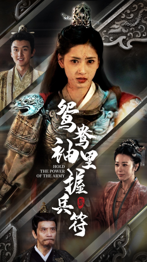 鸳鸯袖里握兵符（88集）最后一集