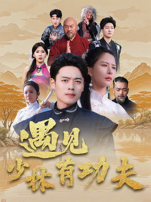 遇见少林有功夫（36集）在哪里可以看