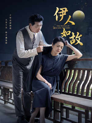 伊人如故（95集）热门短剧大全