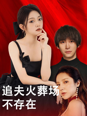 追夫火葬场不存在（100集）好看短剧看不停